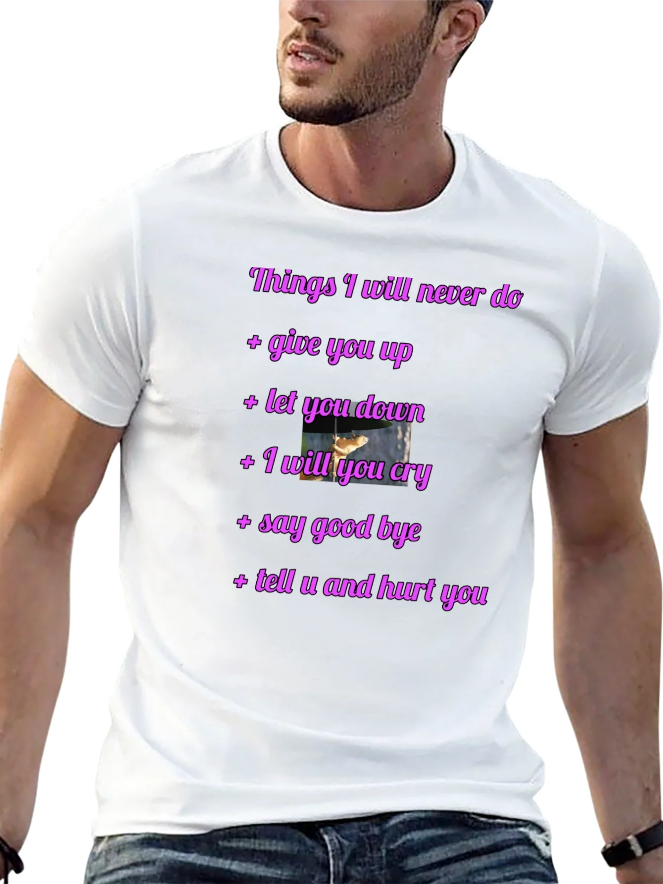 Rick Roll Never Gonna Give You Up Funny T-Shirt
